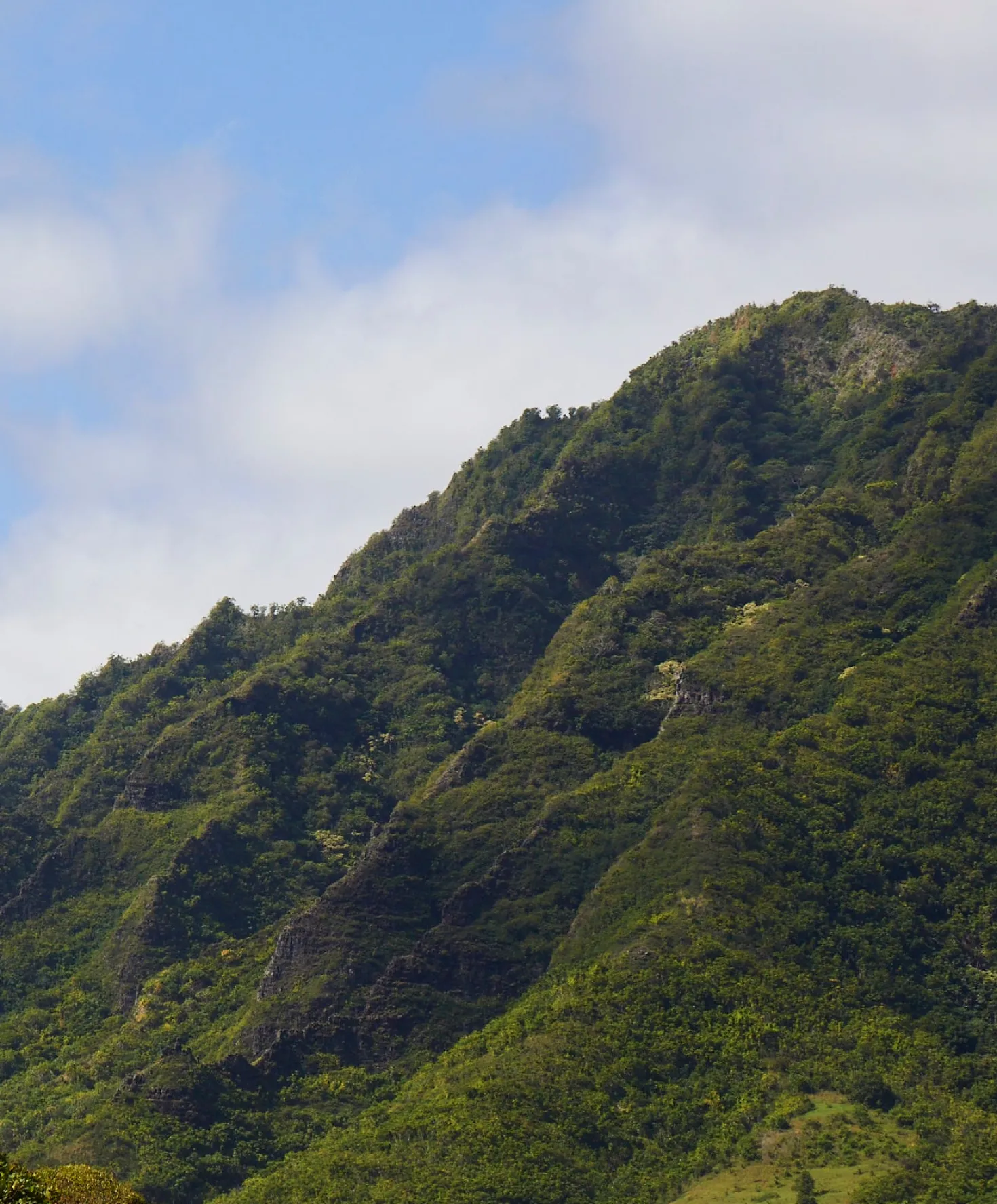 APEX Trunks by Kelly Slater