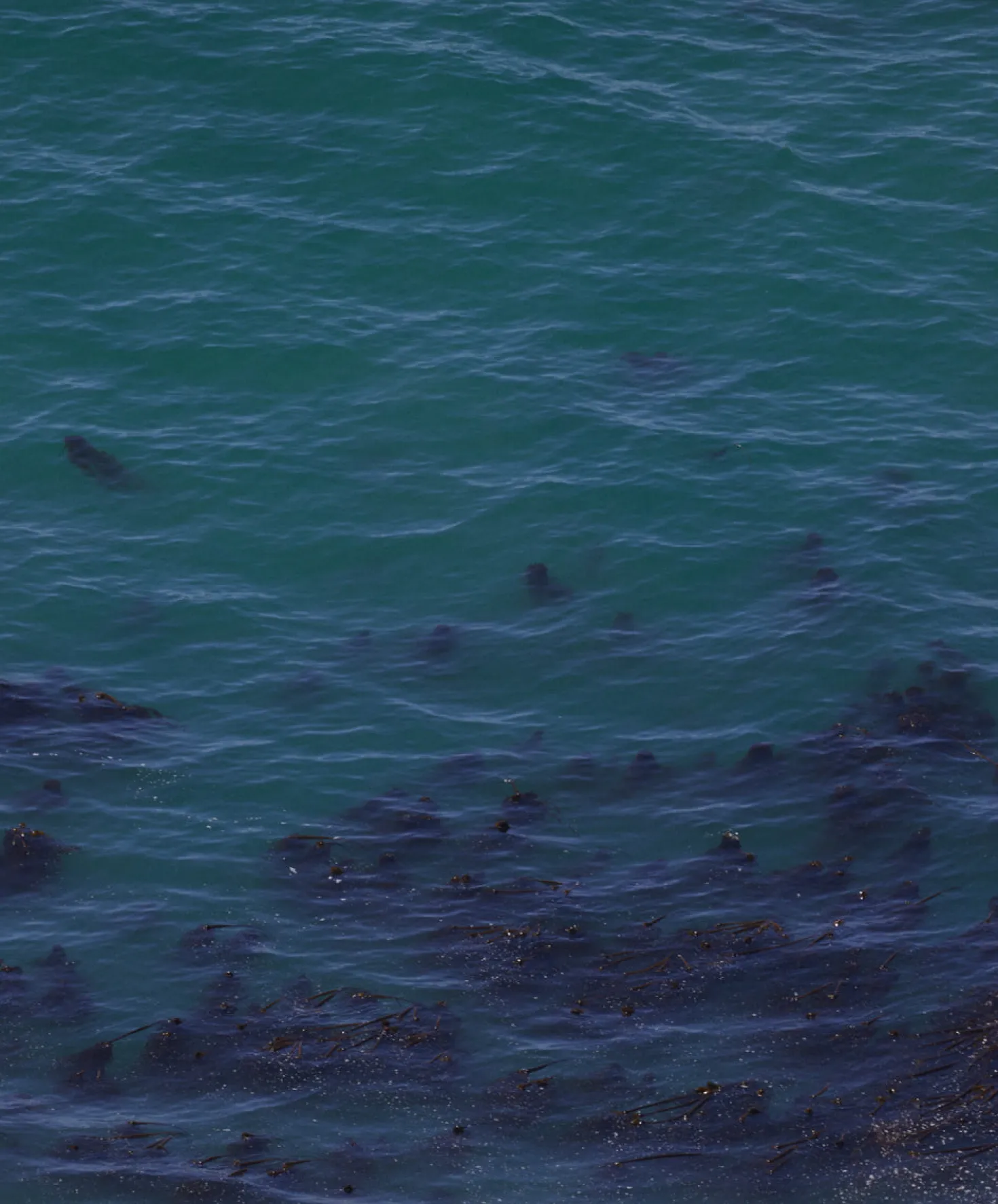 New Life Project X Outerknown Sacoche