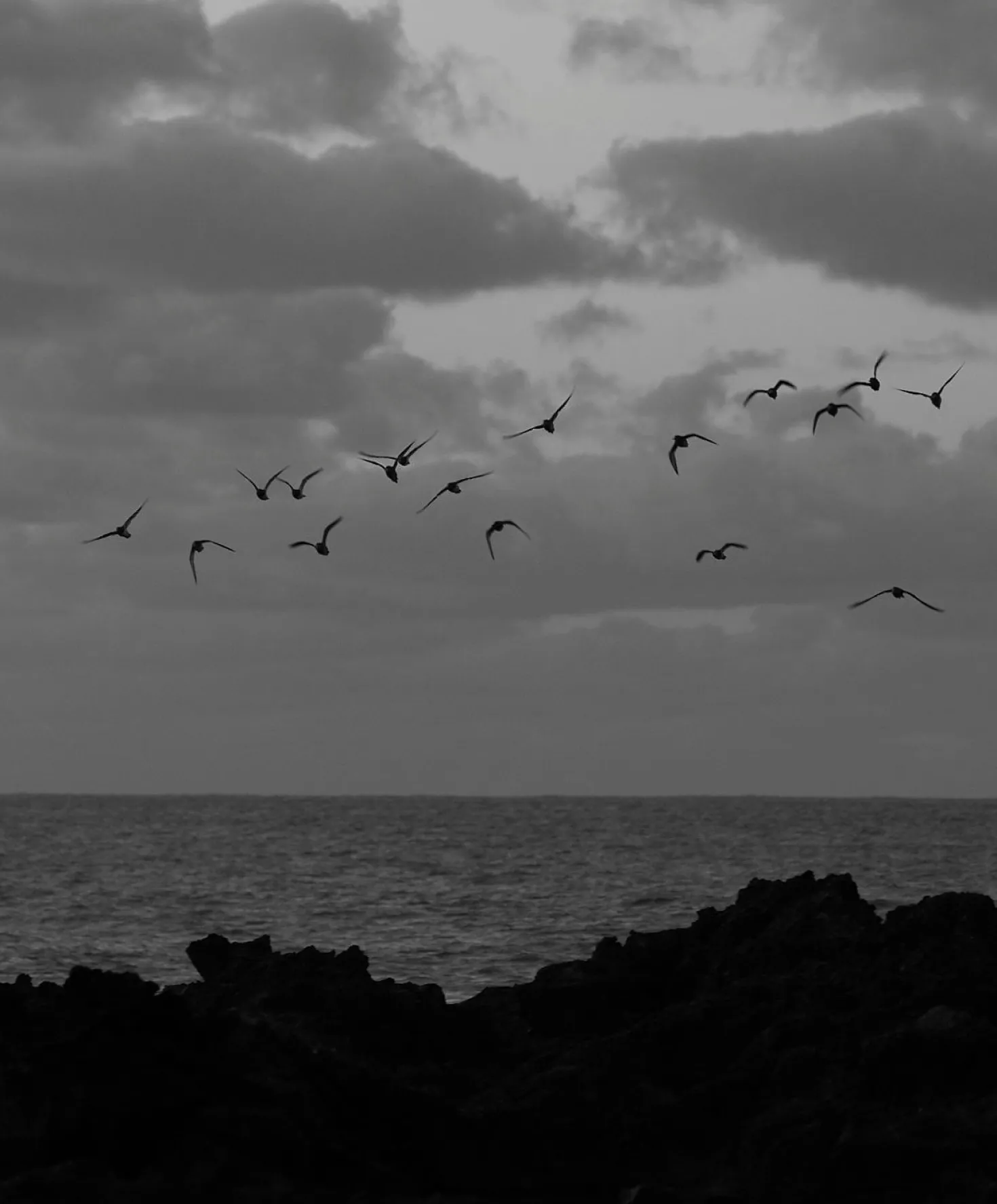 Otis Eyewear Panorama Eco