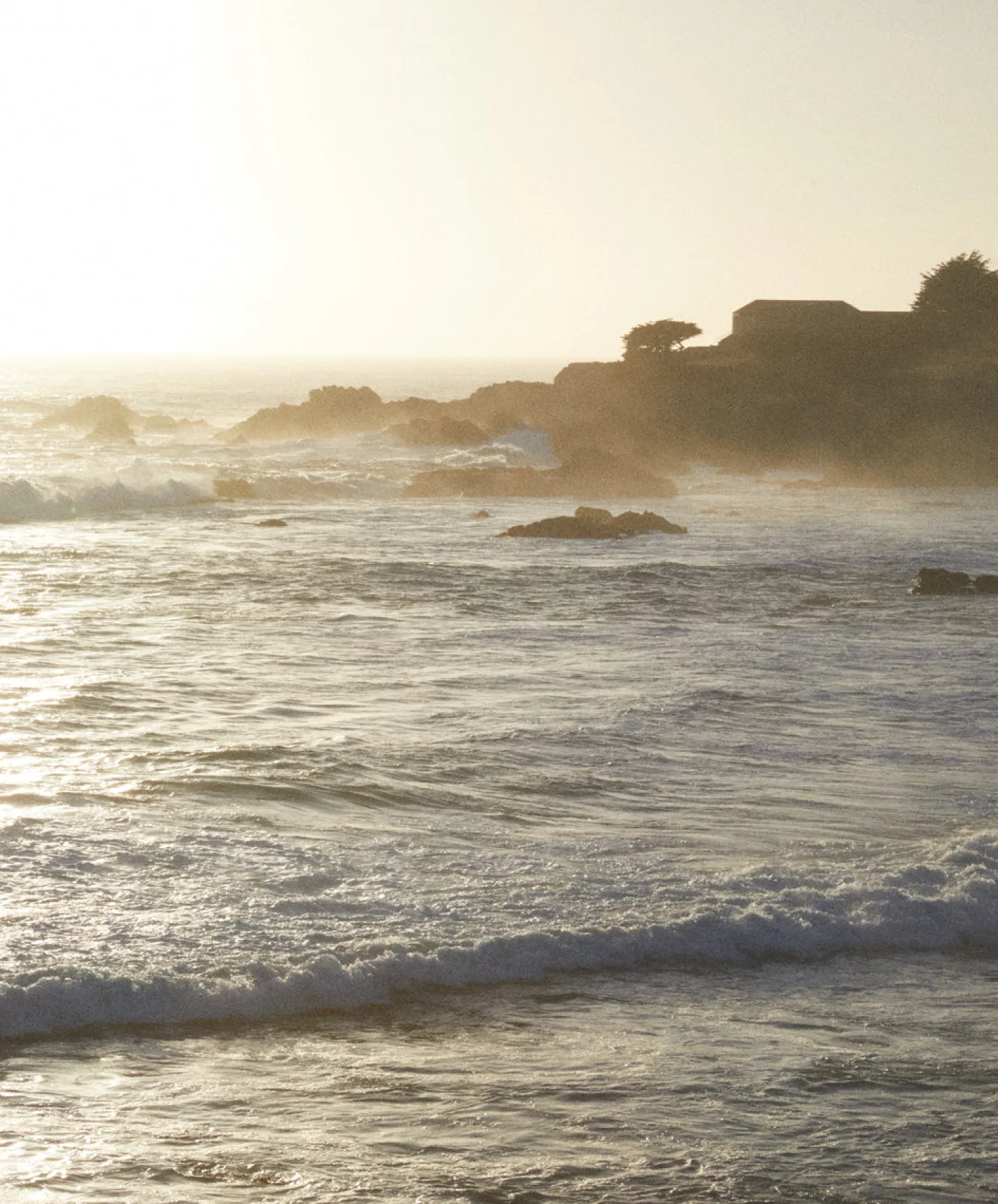 Otis Eyewear Summer of '67