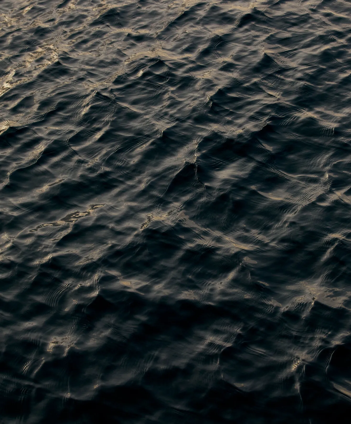 Otis Eyewear Summer of '67