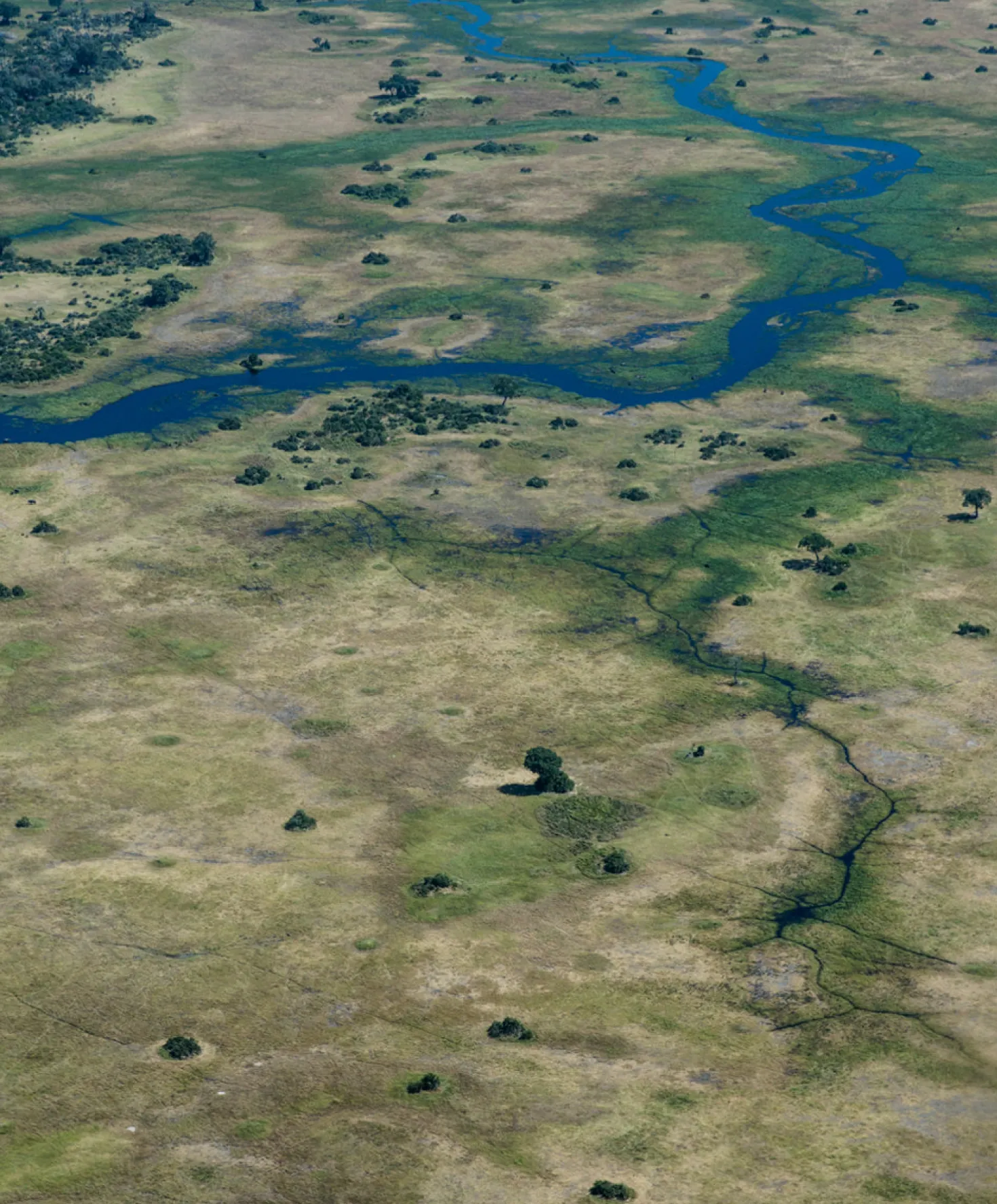 Outerknown & GOT BAG Daypack