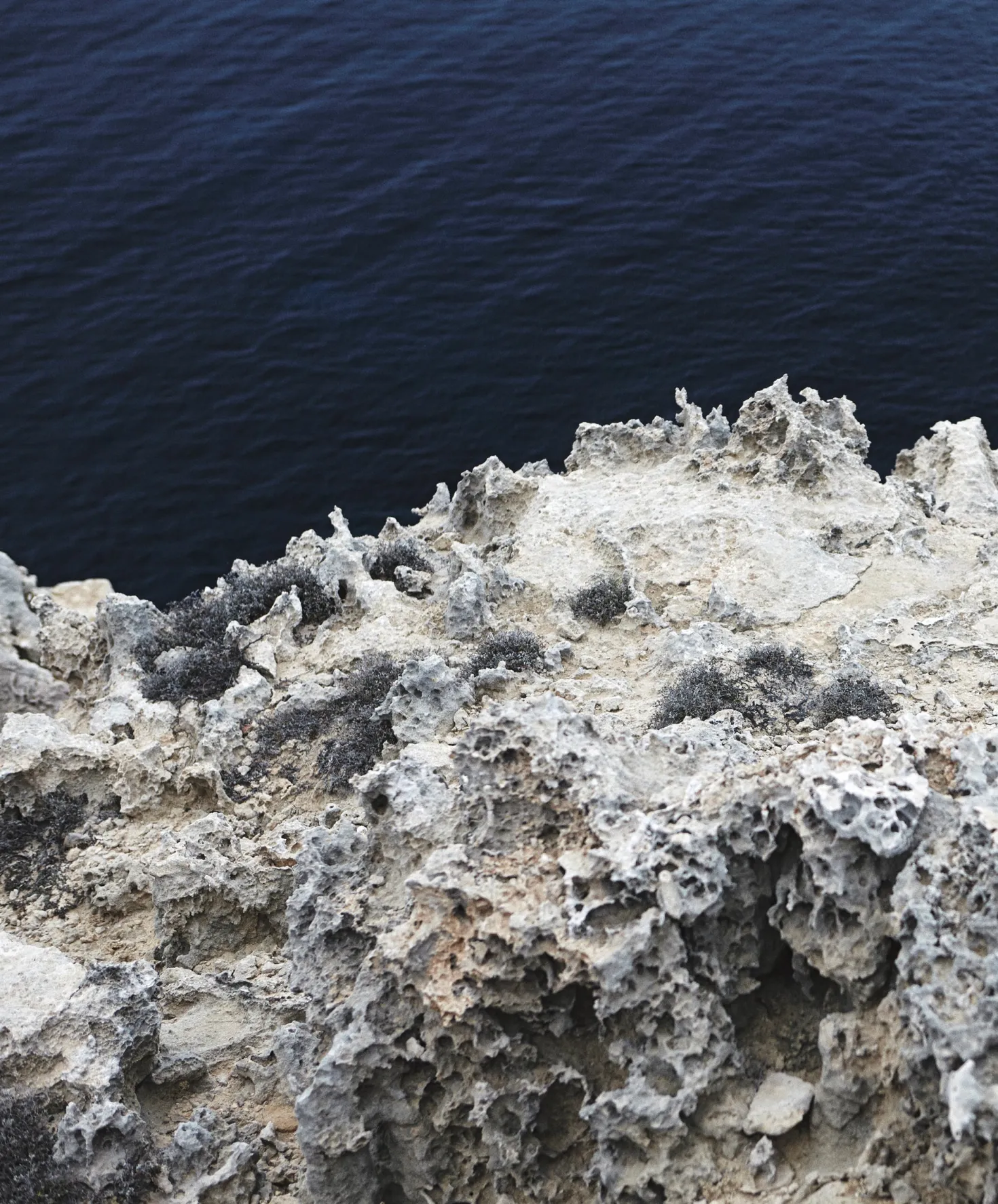 Project Vermont Path to Totality Tee