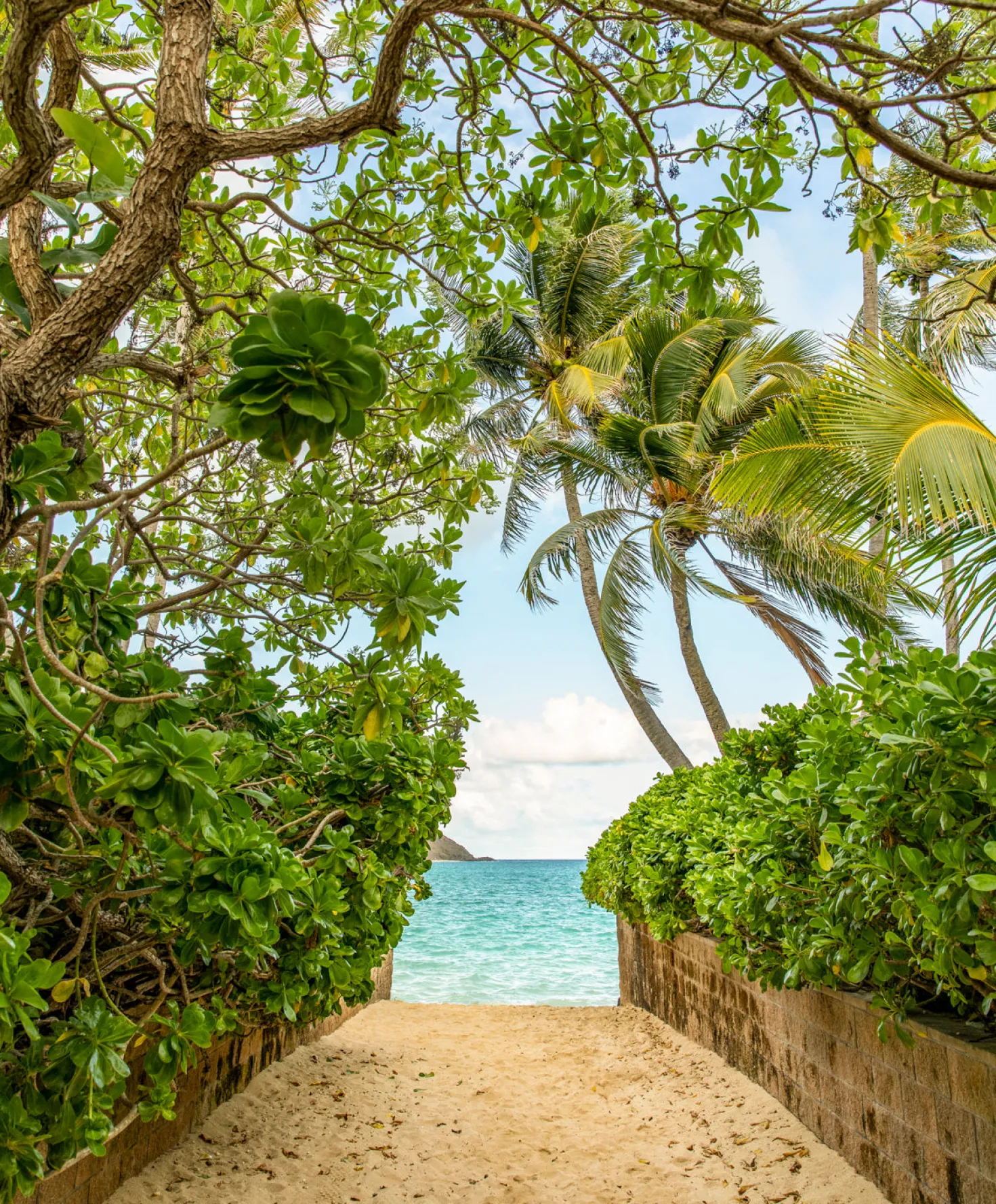 Sojourn Ribbed Tank Dress