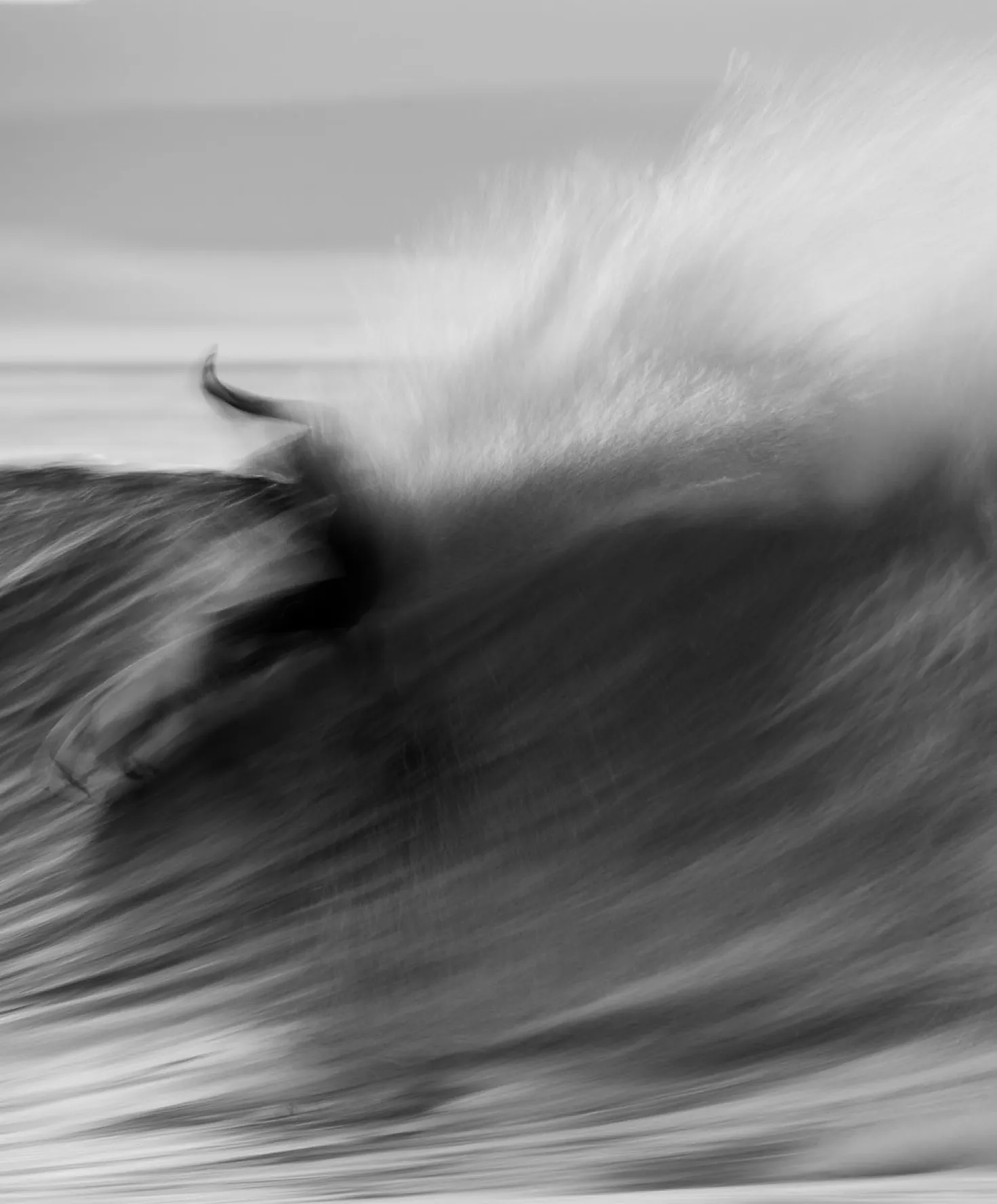 Tahiti Pro Outerknown Trucker