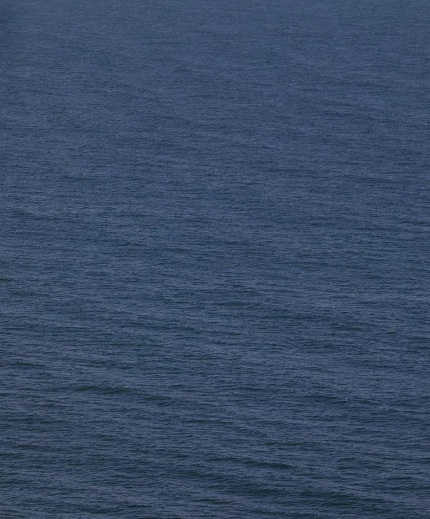 Voyage Cord Overalls