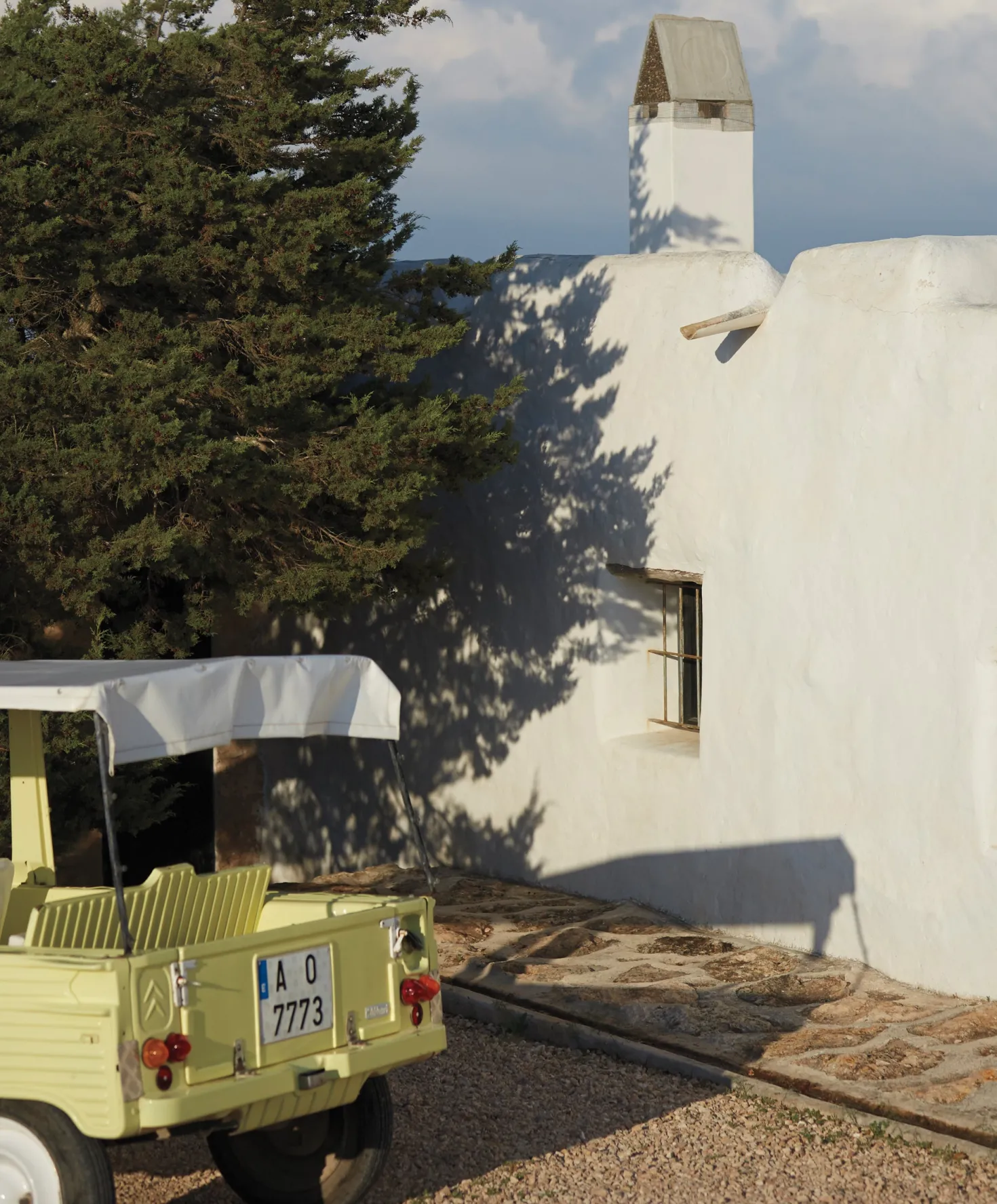 Westbound Utility Pants