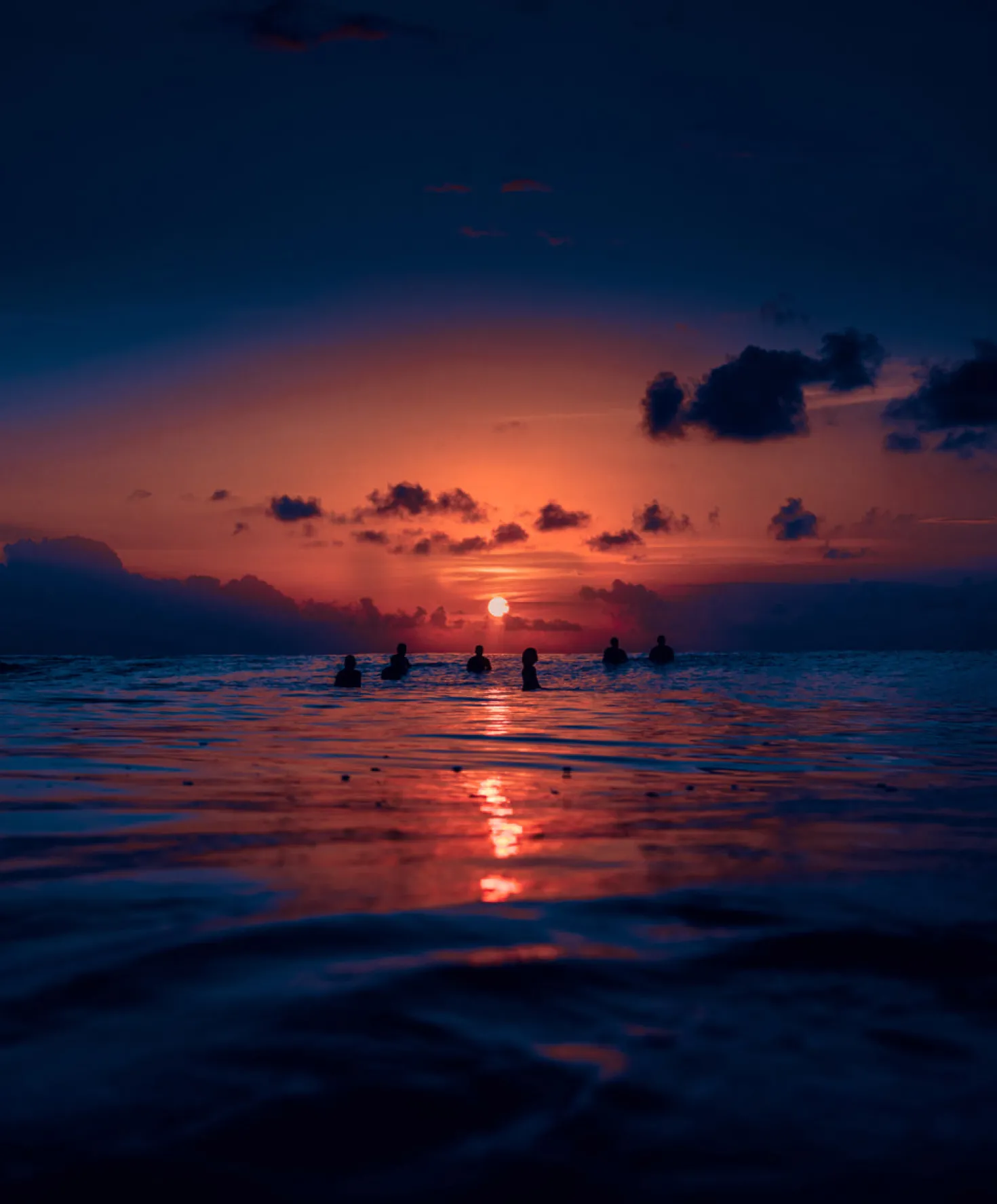 Women's Hightide Sweatpants